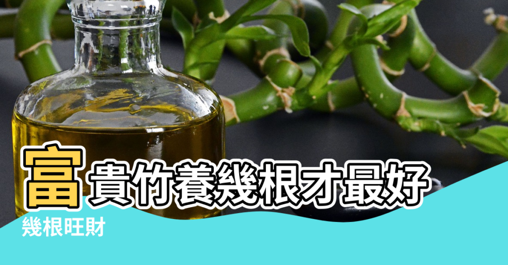 【富貴竹水養幾根最好風水】富貴竹養幾根才最好 |幾根旺財 |幾根吉祥 |