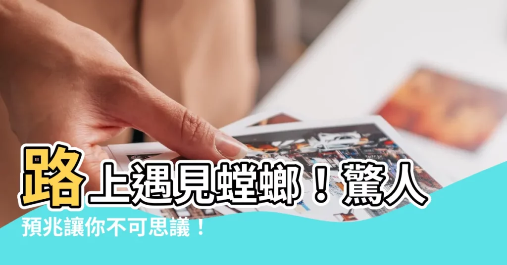 【螳螂預兆】路上遇見螳螂！驚人預兆讓你不可思議！