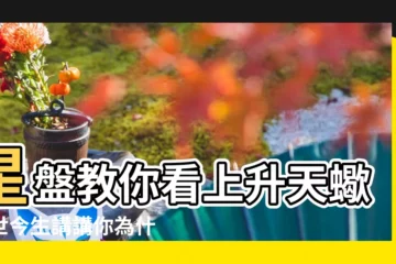 【上升星座12顆靈魂】星盤教你看上升天蠍前世今生講講你為什麼選擇了升蠍這顆 |12上升星座 |天賦與熱愛 |