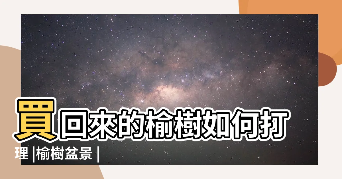 【榆樹盆栽照顧】買回來的榆樹如何打理 |榆樹盆景 |枝繁葉茂很簡單 |