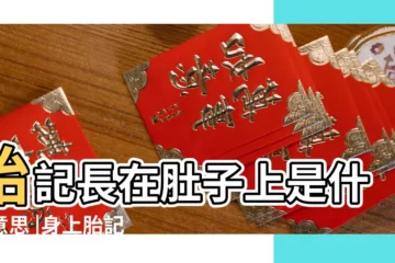 【胎記長在肚臍以上好嗎】胎記長在肚子上是什麼意思 |身上胎記有哪些寓意 |身上胎記位置算命 |