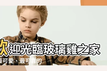【玻璃雞】歡迎光臨玻璃雞之家：最可愛、最可靠的導航夥伴