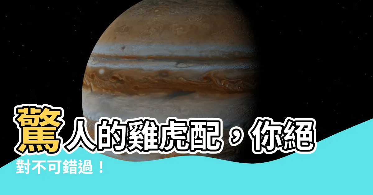 【雞虎配】驚人的雞虎配，你絕對不可錯過！