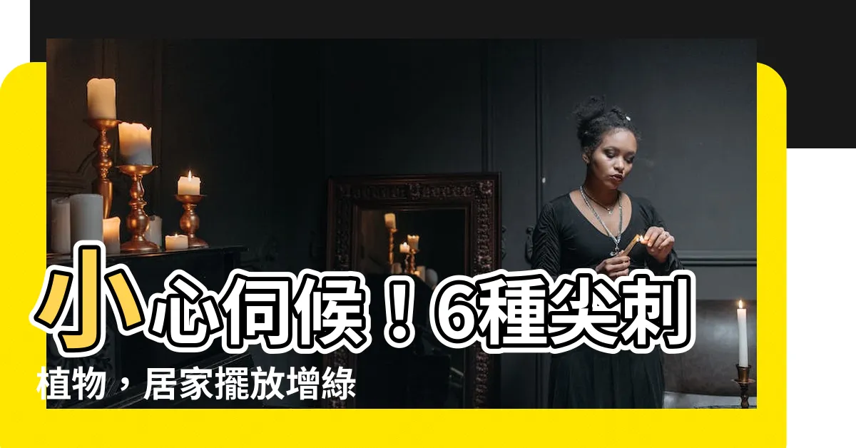 【尖刺植物】小心伺候！6種尖刺植物，居家擺放增綠意與防護力