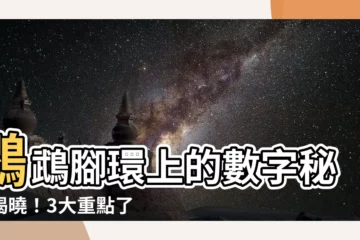 【鸚鵡腳環數字意思】鸚鵡腳環上的數字秘密揭曉！3大重點瞭解鸚鵡身分和連絡方式