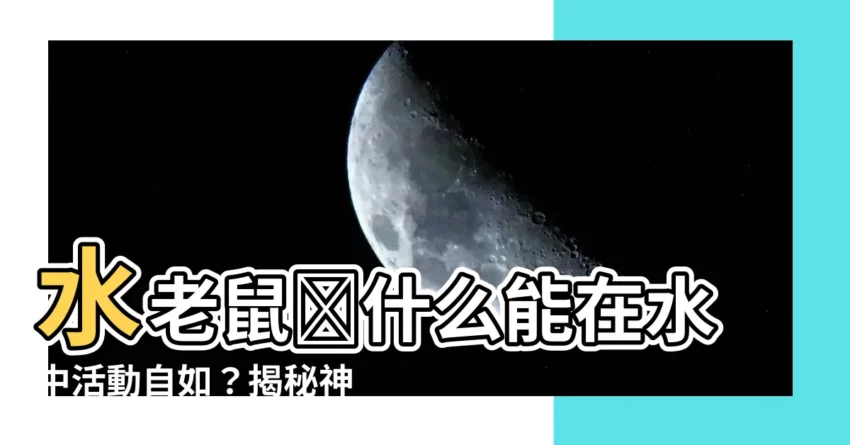 【水老鼠原理】水老鼠為什麼能在水中活動自如？揭秘神奇的水老鼠原理！