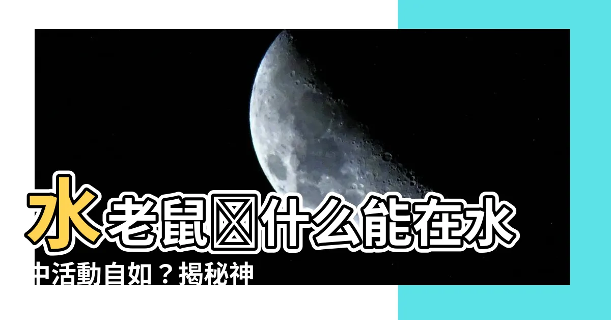 【水老鼠原理】水老鼠為什麼能在水中活動自如?揭秘神奇的水老鼠原理!