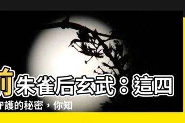 【前朱雀後玄武】前朱雀後玄武：這四神守護的秘密，你知多少？
