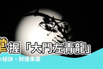 【大門左青龍】掌握「大門左青龍」風水秘訣，財運事業雙贏！