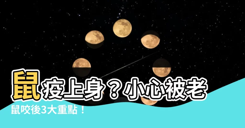 【老鼠咬到】鼠疫上身？小心被老鼠咬後3大重點！