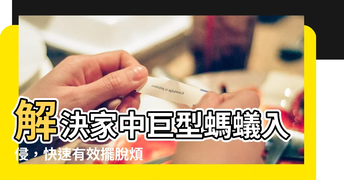 【家裡有大隻螞蟻】解決家中巨型螞蟻入侵，快速有效擺脱煩惱