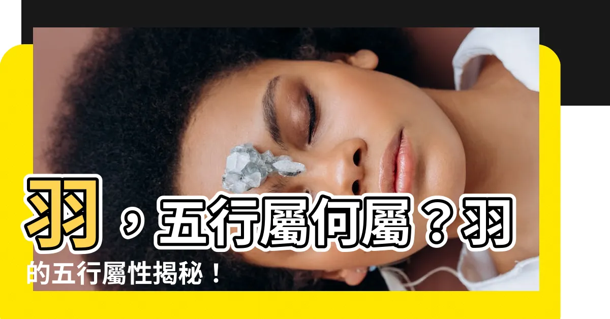 【羽 五行屬什麼】羽，五行屬何屬？羽的五行屬性揭秘！