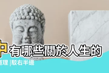 【傑字在易經中的説法】中有哪些關於人生的大道理 |駁右半邊的那個字在易經中的詳細意思 |不一樣的易經基礎知識 |