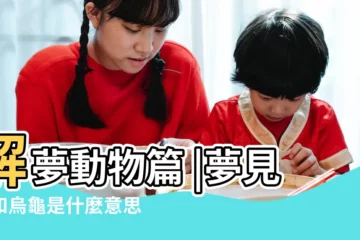【夢見魚 烏龜 老鼠】解夢動物篇 |夢見魚和烏龜是什麼意思周公解夢 |做夢夢見烏龜吃老鼠 |