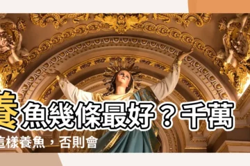【魚養幾隻最吉利】養魚幾條最好？千萬別這樣養魚，否則會破財！
