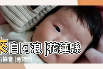 【金錢豹寓意】來自阿浪 |花蓮縣賞石協會 |金錢豹的寓意與象徵金錢豹寓意着招財聚財 |