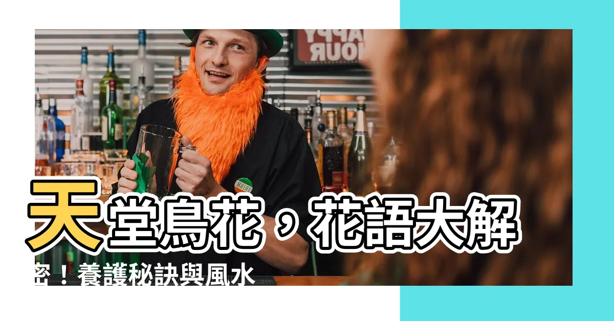 【天堂鳥 花】天堂鳥花，花語大解密！養護秘訣與風水擺放指南！