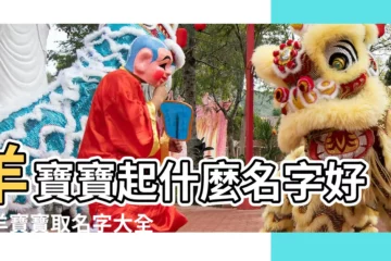 【12月出生羊寶寶取名字】羊寶寶起什麼名字好屬羊寶寶取名字大全 |羊年寶寶取名忌用字 |2015年羊寶寶取名字大全 |