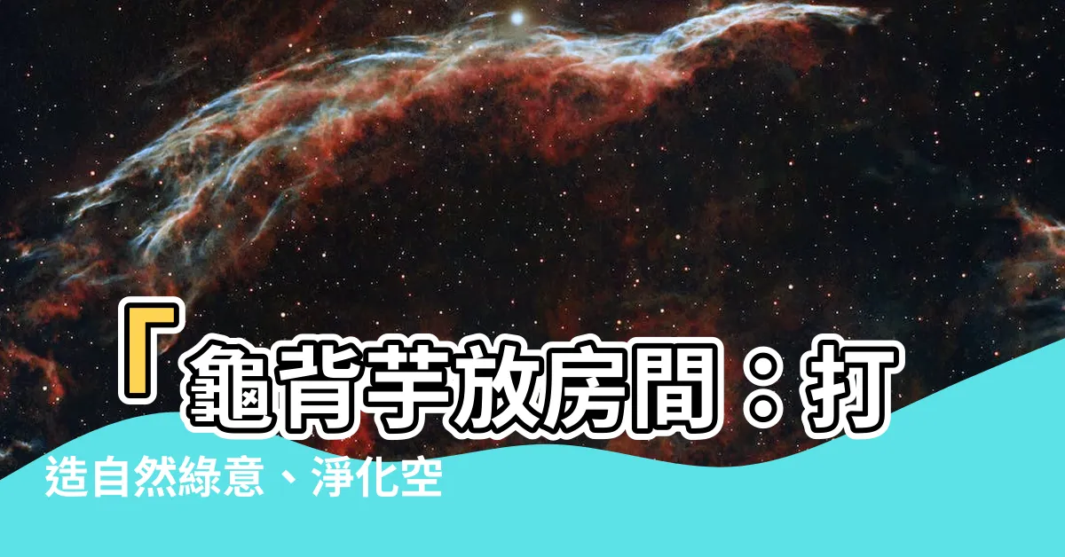 【龜背芋放房間】「龜背芋放房間：打造自然綠意、淨化空氣的秘密武器！」