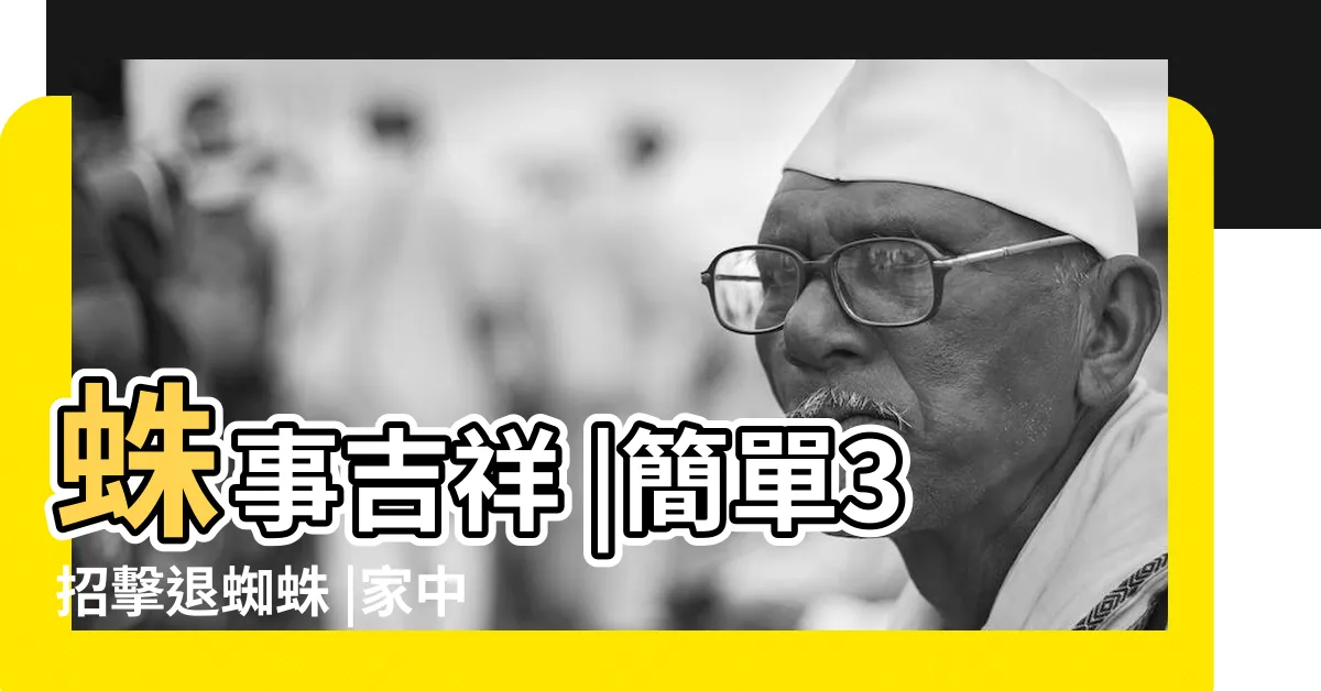 【家裡 蜘蛛】蛛事吉祥 |簡單3招擊退蜘蛛 |家中常見蜘蛛篇 |