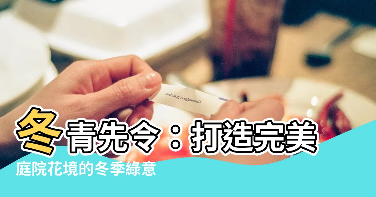 【冬青先令】冬青先令：打造完美庭院花境的冬季綠意