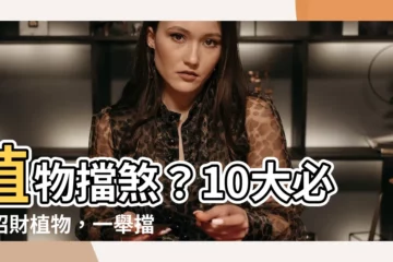 【植物擋煞】植物擋煞？10大必種招財植物，一舉擋煞間生財！