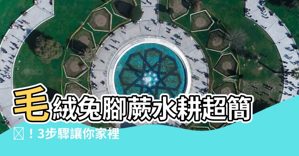 【兔腳蕨水耕】毛絨兔腳蕨水耕超簡単！3步驟讓你家裡綠意盎然