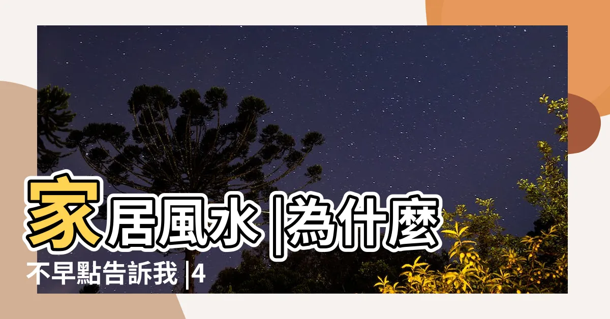 【富貴竹4支】家居風水 |為什麼不早點告訴我 |4支富貴竹旺學業怎麼擺 |