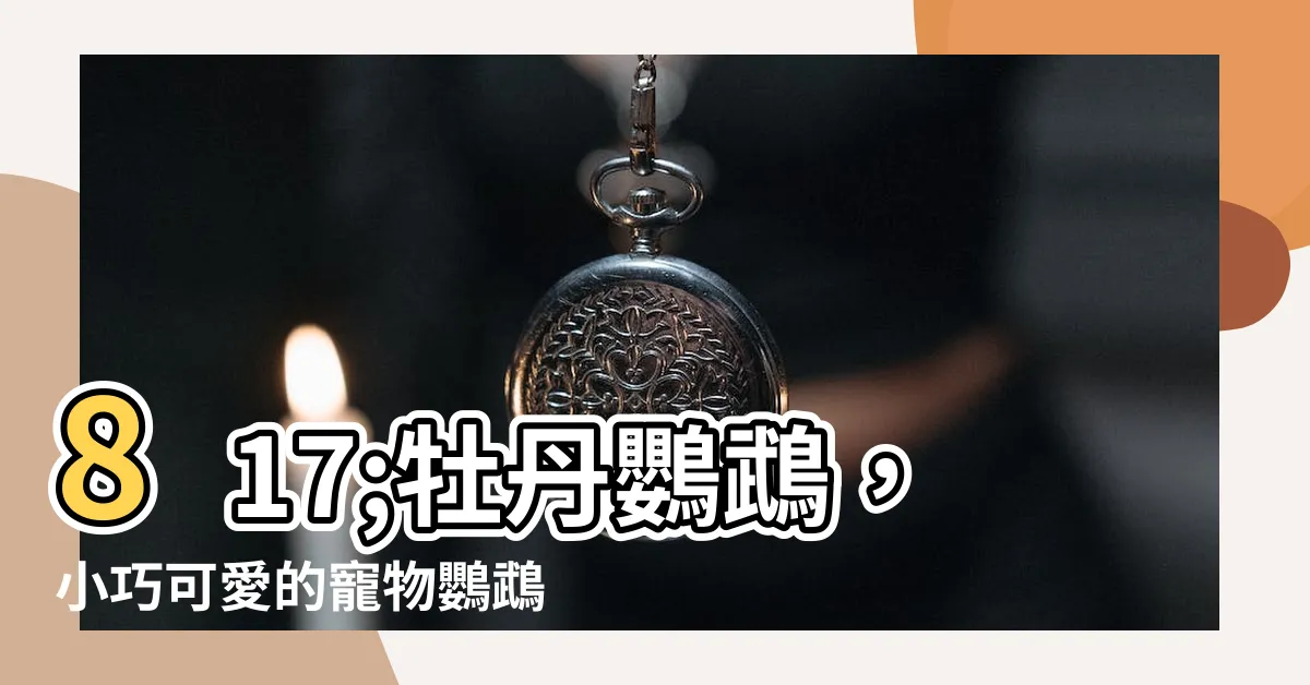 【牡丹鸚鵡】817;牡丹鸚鵡，小巧可愛的寵物鸚鵡，陪伴你的一生！