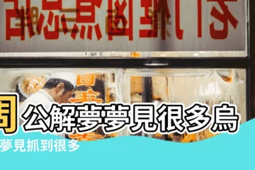 【做夢夢到抓好多烏龜是什麼意思】周公解夢夢見很多烏龜 |夢見抓到很多烏龜 |夢見很多烏龜 |
