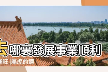 【屬虎的適合去哪裏發展】去哪裏發展事業順利財運旺 |屬虎的適合在哪裏發展 |屬虎的適合去哪些城市發展 |