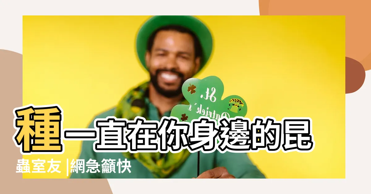 【家裡出現像螞蟻的蟲】種一直在你身邊的昆蟲室友 |網急籲快處理 |黑色像螞蟻會飛 |
