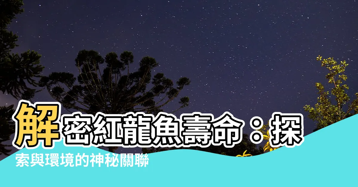 【紅龍魚壽命】解密紅龍魚壽命：探索與環境的神秘關聯，揭開龍魚魚缸壽命之謎！