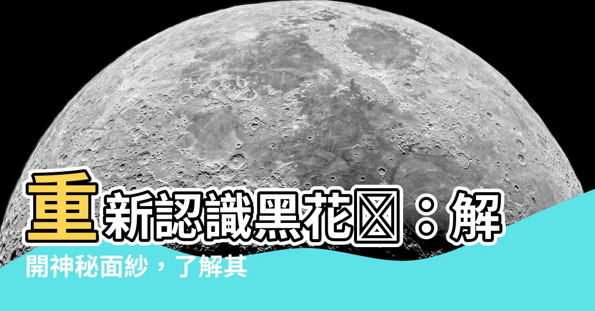 【黑花鱂】重新認識黑花鱂：解開神秘面紗，瞭解其常見問題與養護