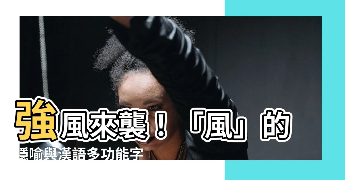 【風字】強風來襲！「風」的隱喻與漢語多功能字庫解析