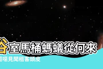 【廁所有螞蟻】浴室馬桶螞蟻從何來！超噁見聞租客頭皮發麻