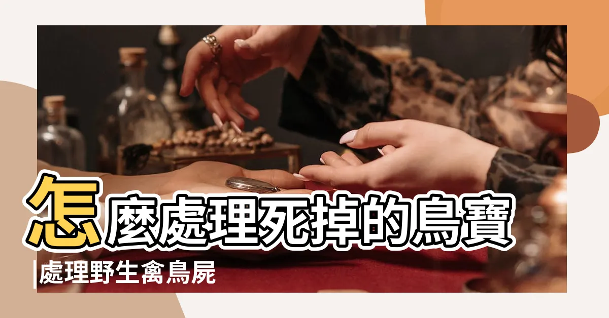 【鳥死掉怎麼辦】怎麼處理死掉的鳥寶 |處理野生禽鳥屍體的安全指引 |問鳥死掉處理 |