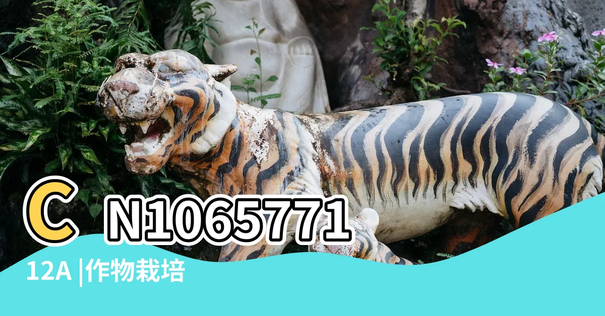 【種龍眼樹】CN106577112A |作物栽培管理 |龍眼栽培技術 |