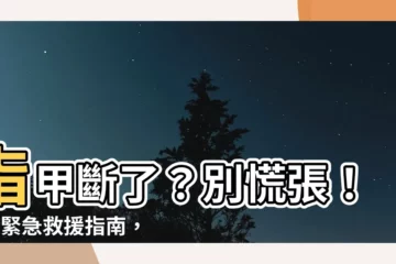 【指甲斷了】指甲斷了？別慌張！7大緊急救援指南，幫你快速找回完美指甲
