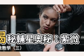 【輔星】揭秘輔星奧秘：紫微鬥數教學（三）