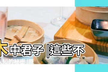 【風水 黃楊】木中君子 |這些不為人知的秘密 |原創黃楊木風水禁忌放在哪裏好運生財 |