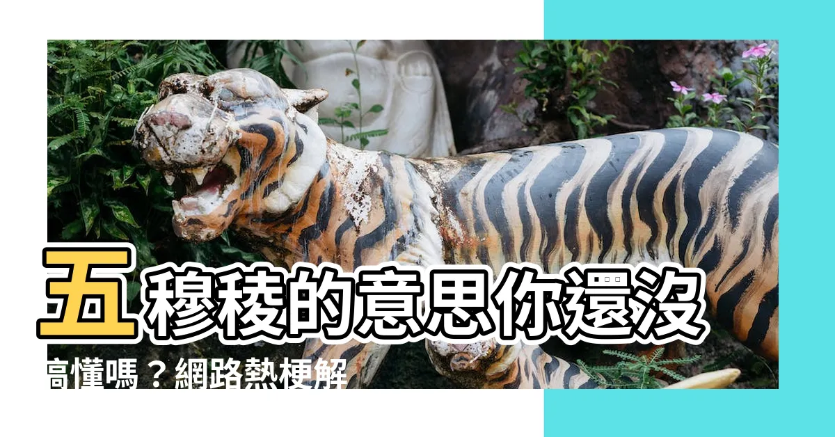 【五穆稜 意思】五穆稜的意思你還沒搞懂嗎？網路熱梗解密，秒懂五穆稜！