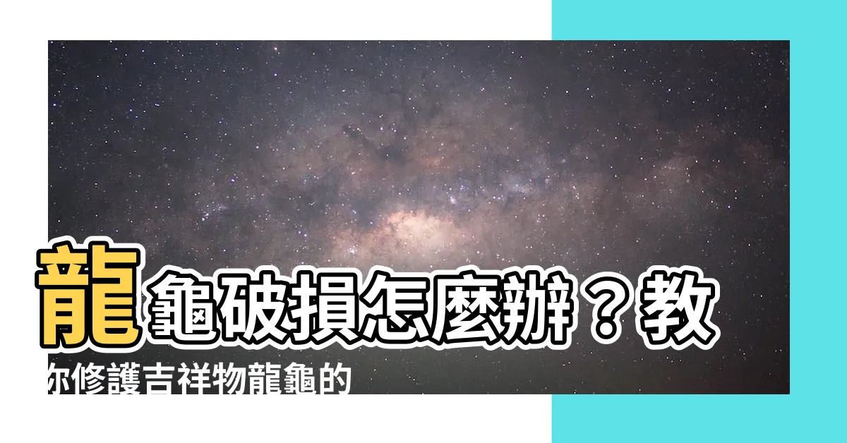 【龍龜破損】龍龜破損怎麼辦？教你修護吉祥物龍龜的秘訣！