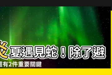 【路上遇到蛇代表什麼】炎夏遇見蛇！除了避開還有2件重要關鍵