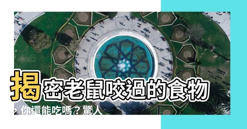 【老鼠咬過的食物可以吃嗎】揭密老鼠咬過的食物，你還能吃嗎？驚人真相讓你意想不到！