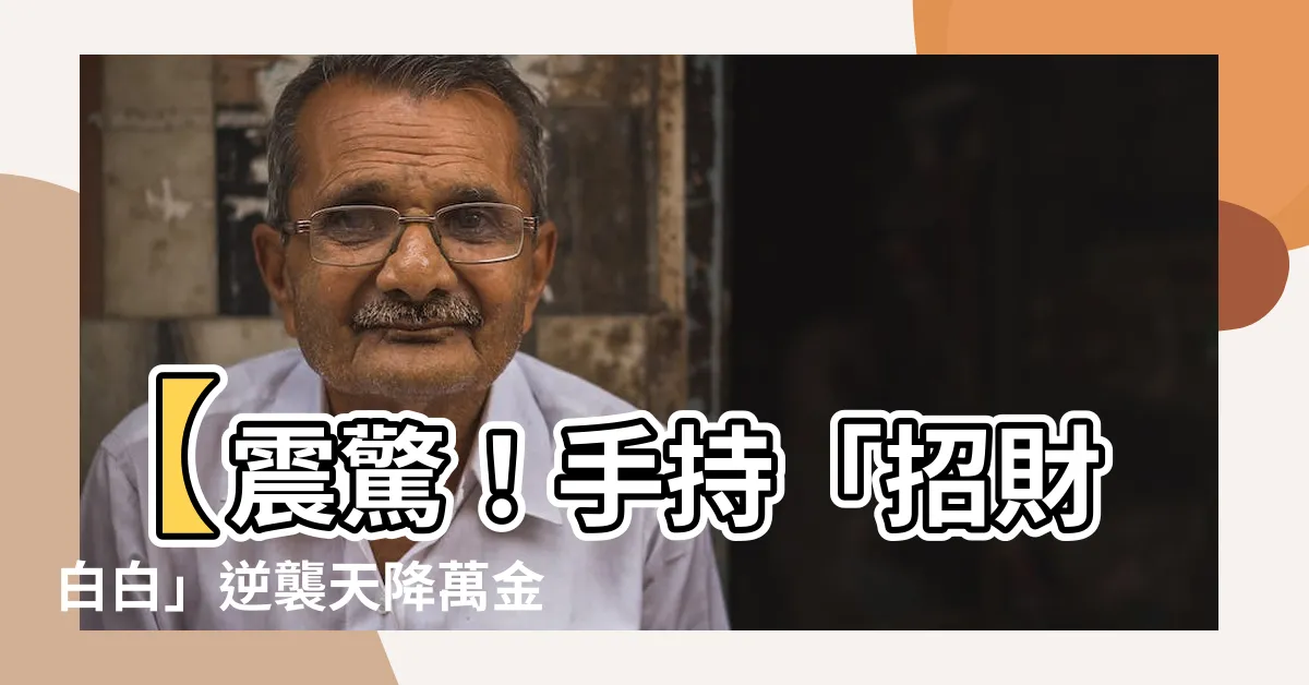 【招財白白】【震驚！手持「招財白白」逆襲天降萬金！】