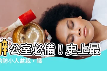 【防小人盆栽】辦公室必備！史上最神的防小人盆栽，職場運勢瞬間爆棚
