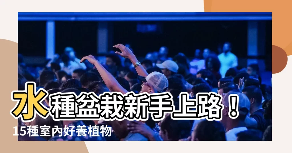 【水種盆栽】水種盆栽新手上路！15種室內好養植物報你知