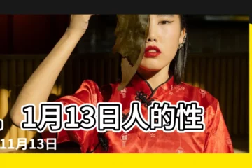 【11月13日是什麼星座】11月13日人的性格 |11月13日出生是什麼星座 |是天蠍座 |