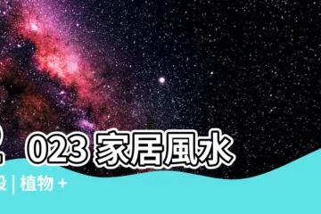 【家居財位2023】2023 家居風水擺設 | 植物 + 佈局 助你旺財運！